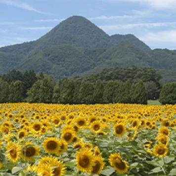 岩手県矢巾町