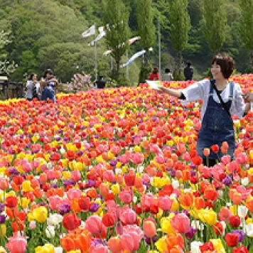 新潟県